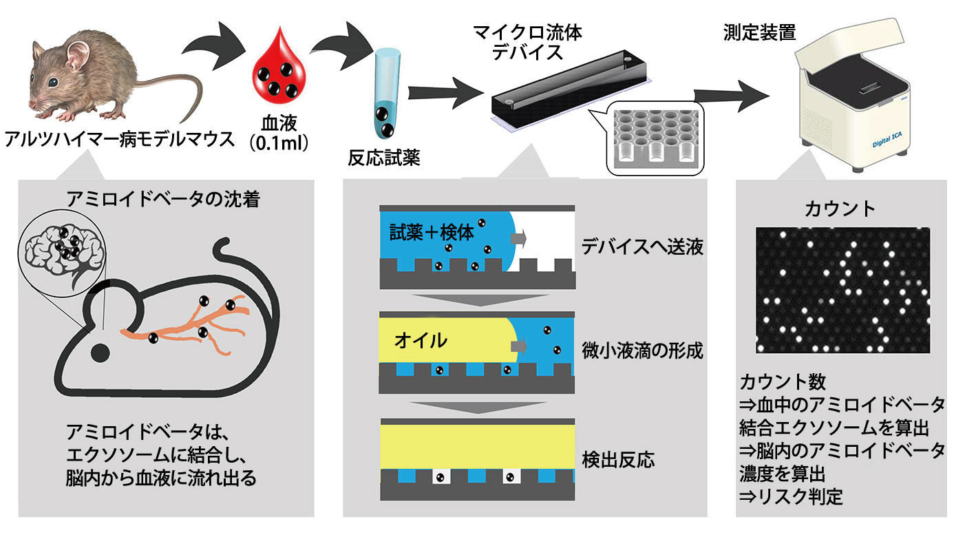 エクソソームとアミロイドβの複合物の濃度からリスクを測定。将来的には同じシステムでがんや感染症など、さまざまな診断コンテンツを提供するイメージを描く