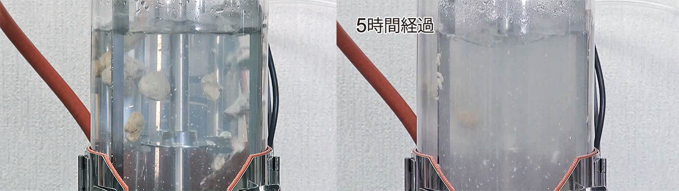 油脂や有機物が固形化したオイルボールも分解できる力を有する。オイルボール実験前（左）と実験後