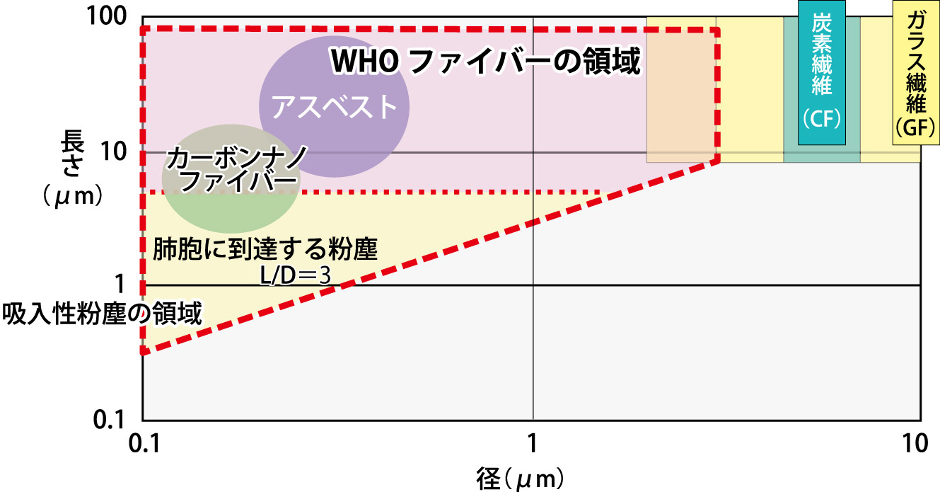 炭素繊維は、発がん性などのリスクがあるとされる「ＷＨＯファイバー」の領域からも外れている