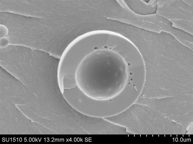 ポリイミド中空微粒子の断面