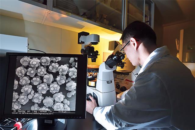 がん免疫療法に使う細胞を増やす磁性ビーズ「ｉＫＮＯＢＥＡＤＳ」